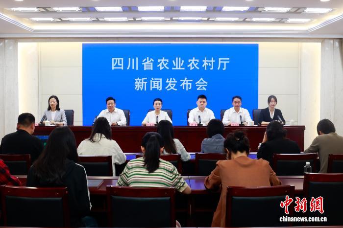 足球狂热者终极指南：从草根到巨星 - 开云体育下载